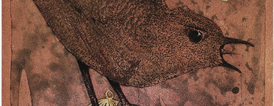 Lars Bo - Auguries of Innocence IV by William Blake